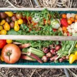 vegetable basket