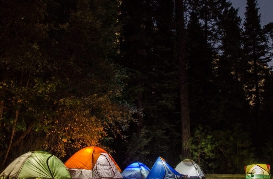 sleepover backyard camping party