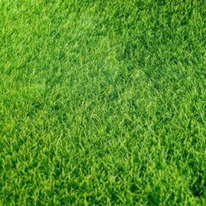 Green All Year Round: Benefits of Artificial Turf