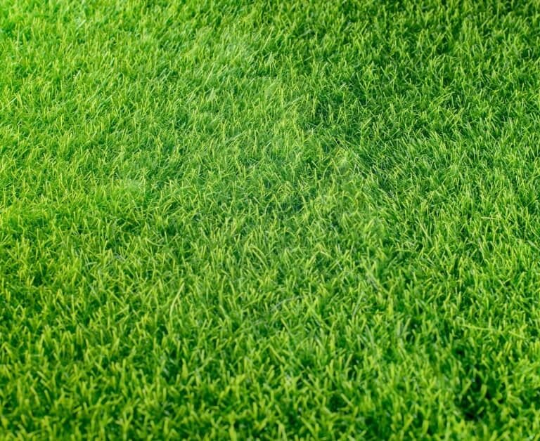 Green All Year Round: Benefits of Artificial Turf