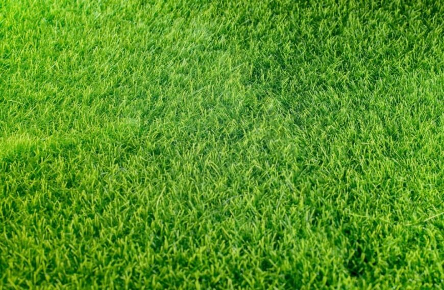 Green All Year Round: Benefits of Artificial Turf