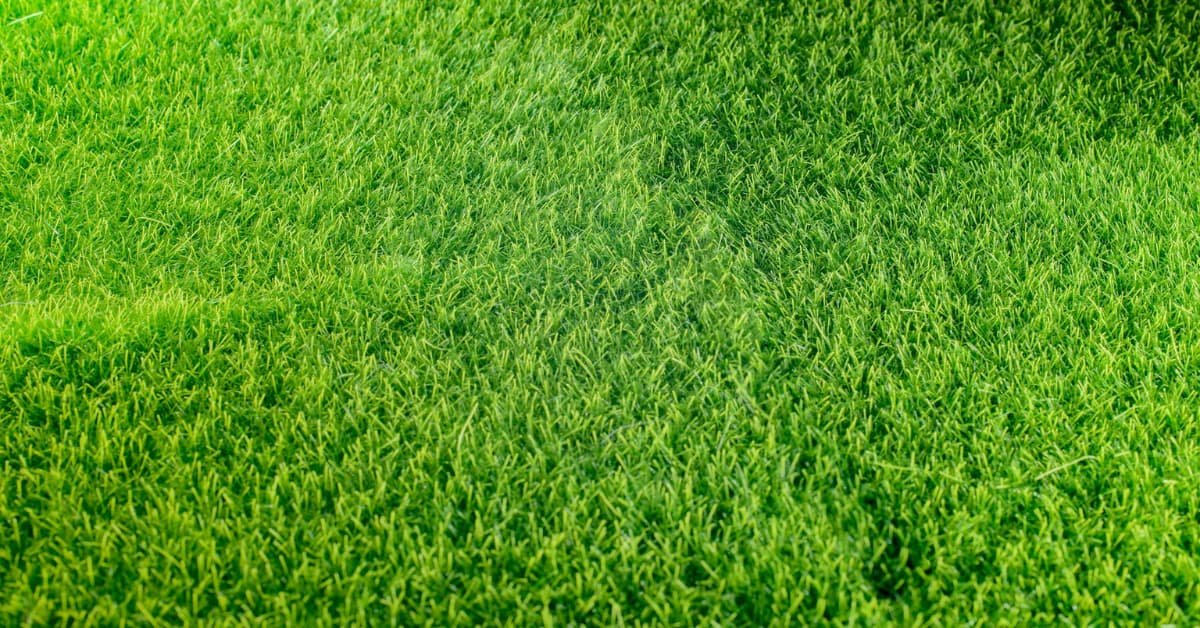 Green All Year Round: Benefits of Artificial Turf