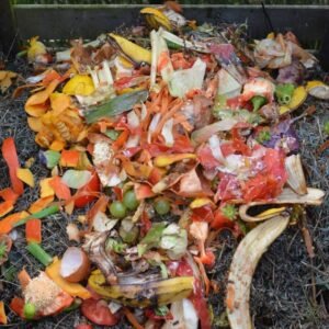 Revive Your Garden: What to do With Old Compost!