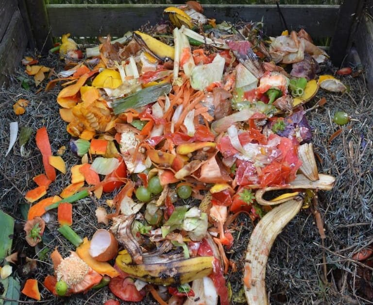 Revive Your Garden: What to do With Old Compost!