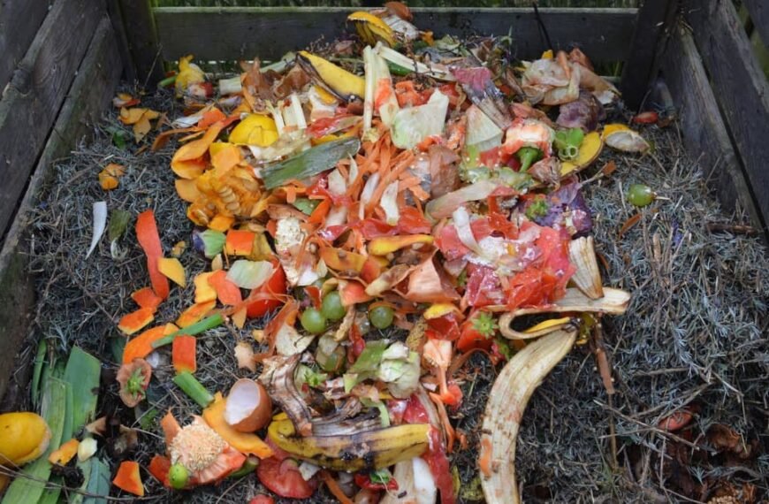 Revive Your Garden: What to do With Old Compost!