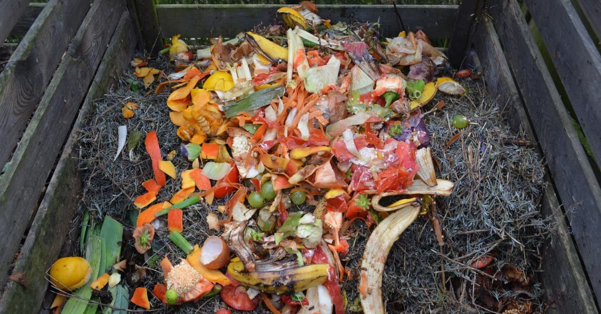 Revive Your Garden: What to do With Old Compost!