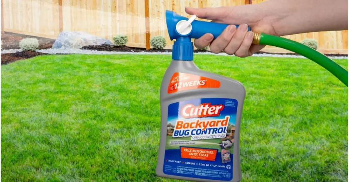 Is Cutter Backyard Bug Control Safe For Dogs? Find Out Now!