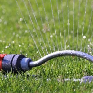 Mastering Lawn Care: Best Time To Water Grass