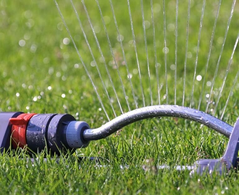 Mastering Lawn Care: Best Time To Water Grass