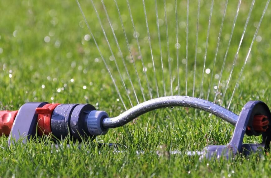 Mastering Lawn Care: Best Time To Water Grass