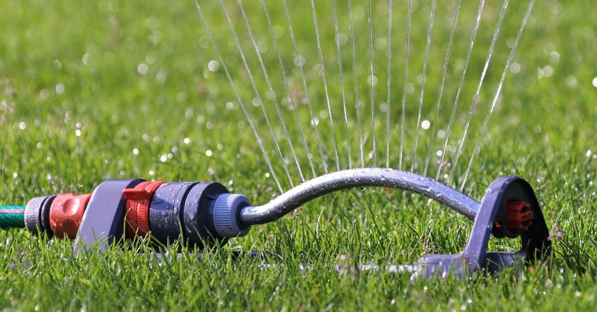 Mastering Lawn Care: Best Time To Water Grass