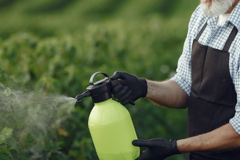 watering garden with homemade pesticide