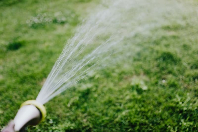 watering grass seeds