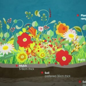 Building A Rain Garden For Sustainable Water Management