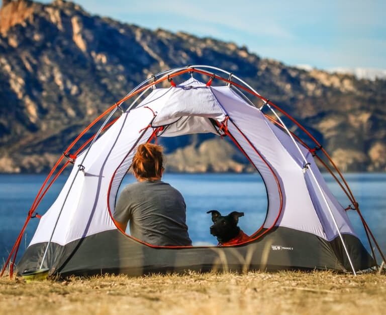 Pawsome Dog Camping Essentials: 15 Must-Haves For Your Furry Friend's Adventure!