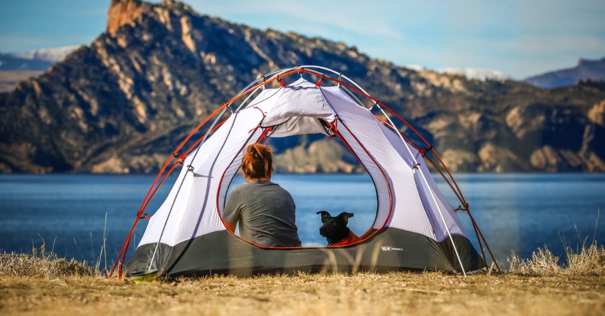 Pawsome Dog Camping Essentials: 15 Must-Haves For Your Furry Friend's Adventure!