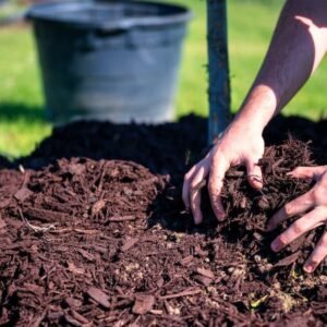 The Benefits Of Mulch In Your Garden