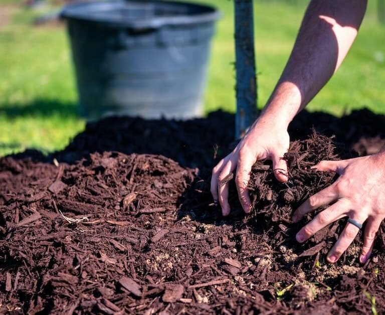 The Benefits Of Mulch In Your Garden