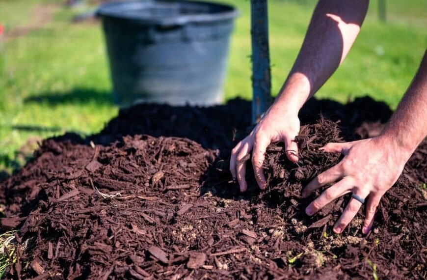 The Benefits Of Mulch In Your Garden