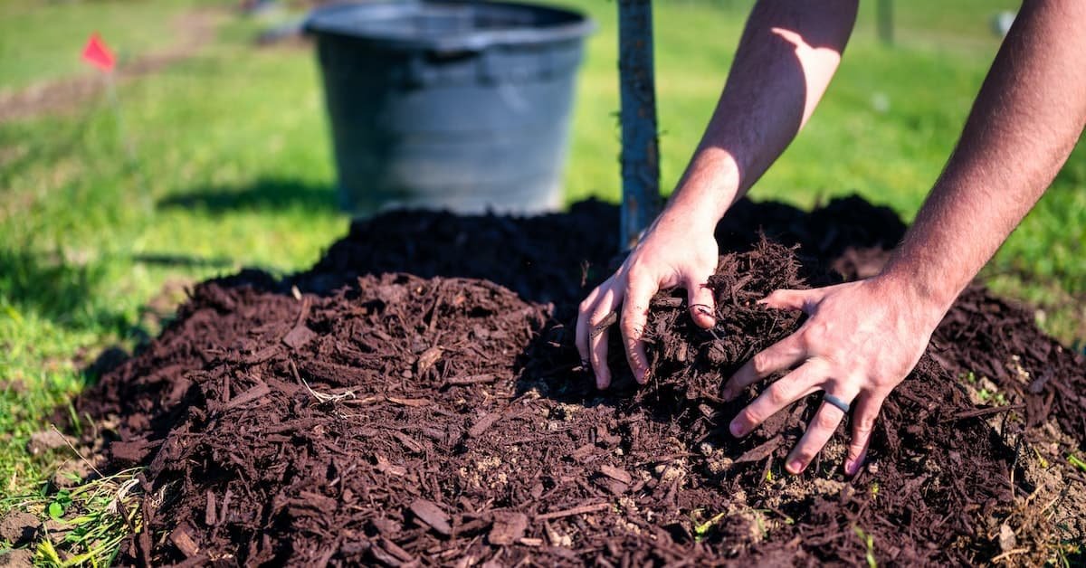 The Benefits Of Mulch In Your Garden