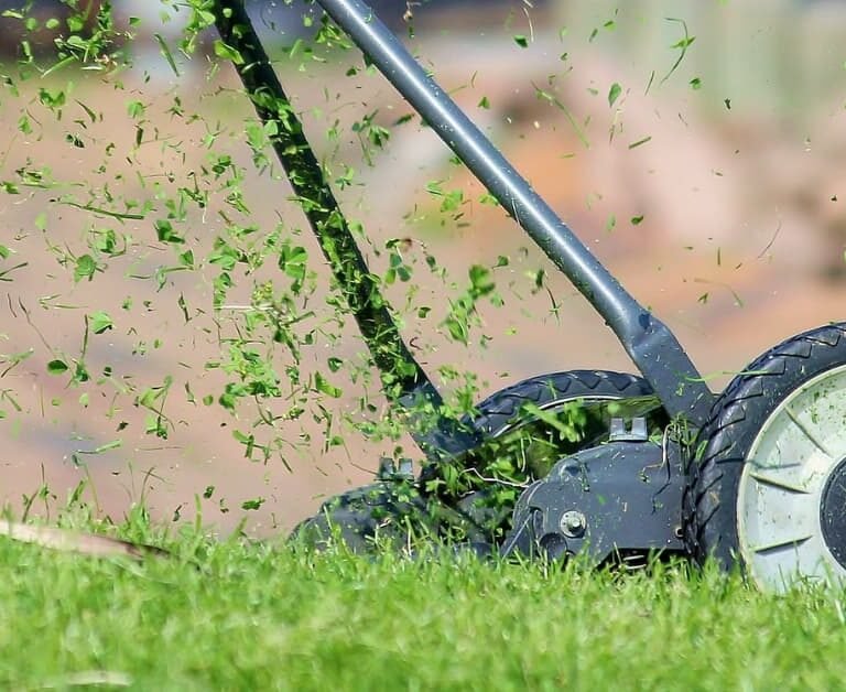 The Many Uses Of Grass Clippings: From Mulch To Livestock Feed!