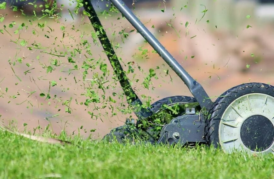 The Many Uses Of Grass Clippings: From Mulch To Livestock Feed!